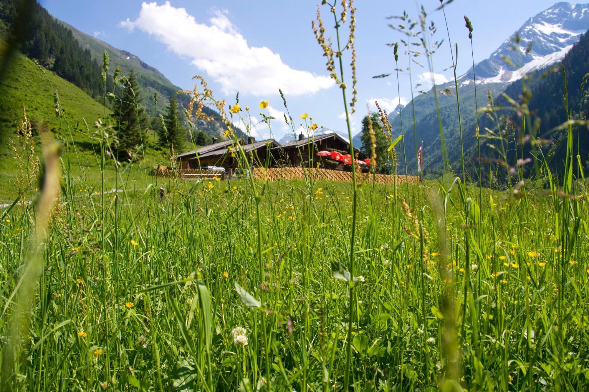 Bed and Breakfast Senninger Alm Hollersbach im Pinzgau Zewnętrze zdjęcie